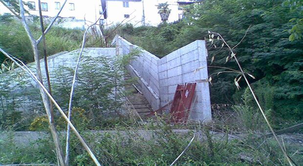 LSd010