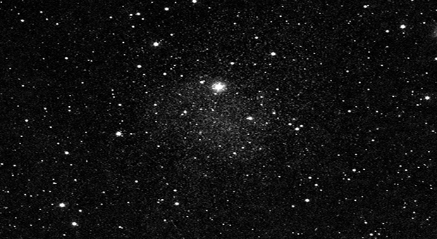 stelle